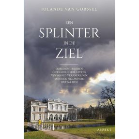 Een splinter in de ziel