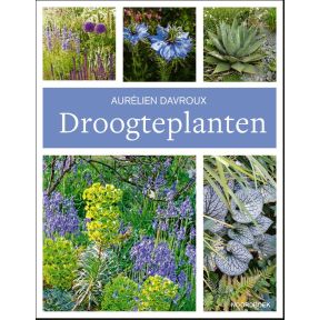 Droogteplanten