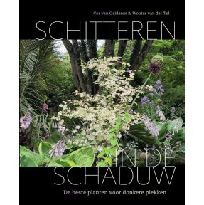 Schitteren in de schaduw