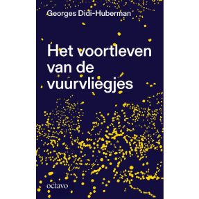 Het voortleven van de vuurvliegjes