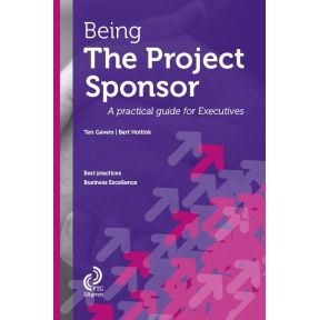 Being the project sponsor