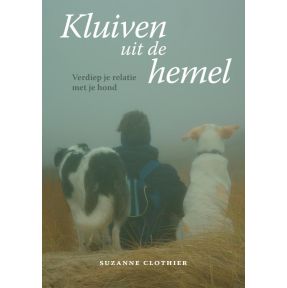 Kluiven uit de hemel