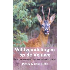 Wildwandelingen op de Veluwe