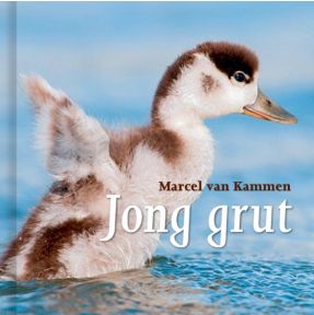 Jong grut