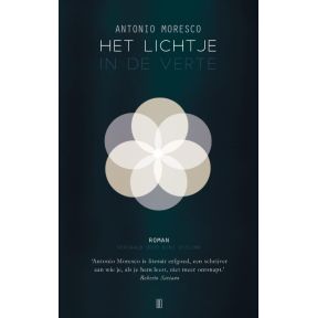 Het lichtje in de verte