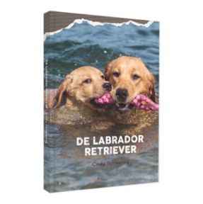 De Labrador Retriever