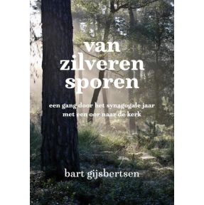 Van zilveren sporen