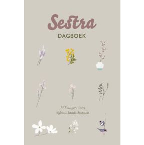 Sestra dagboek