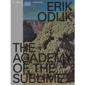 Erik Odijk. The Academy of the Sublime