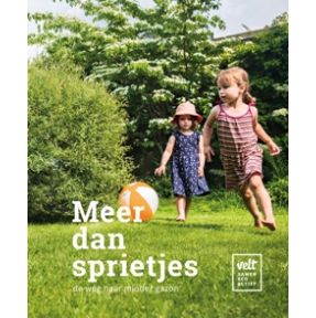 Meer dan sprietjes