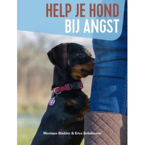 Help je hond bij angst