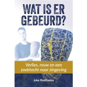 Wat is er gebeurd?