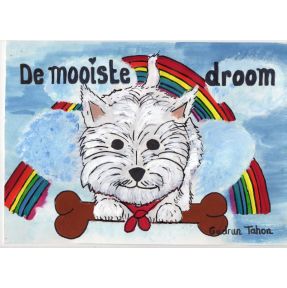 De mooiste droom