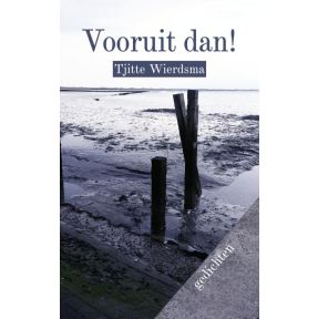 Vooruit dan