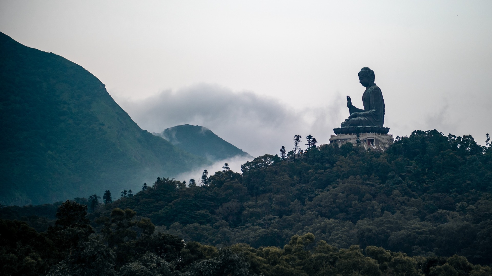 Colleges Wijsheid uit het Oosten