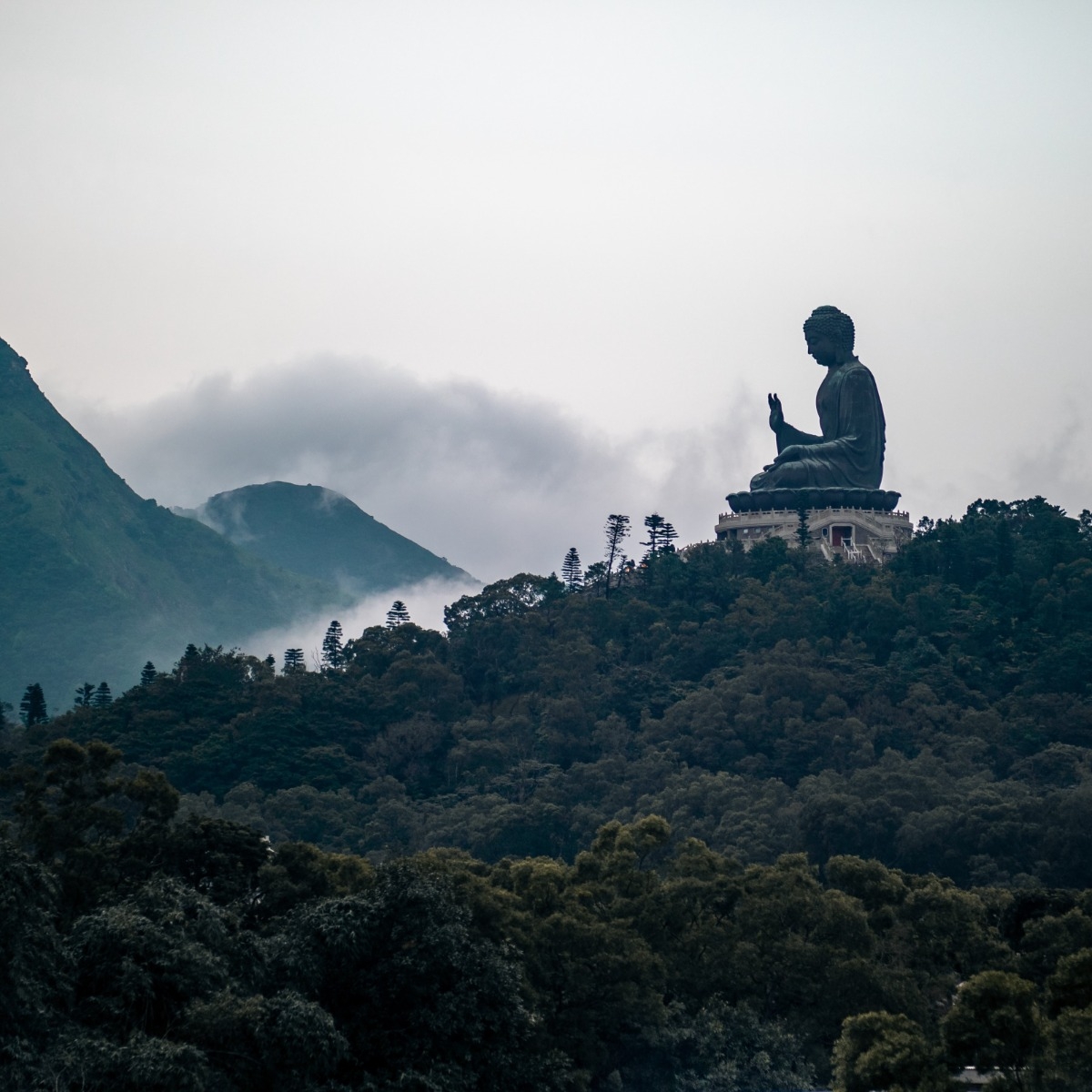 Colleges Wijsheid uit het Oosten